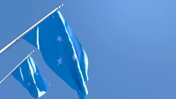 Η εθνική σημαία της Μικρονησίας κυματίζει στον άνεμο — Αρχείο Βίντεο