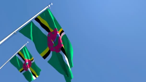 Государственный флаг Доминики развевается на ветру — стоковое видео