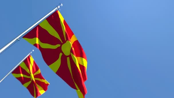Державний прапор Македонії віє на вітрі. — стокове відео