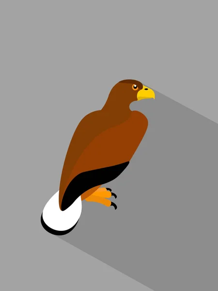 Adler Auf Grauem Hintergrund — Stockvektor