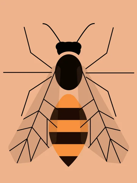 Hafif arka planda wasp