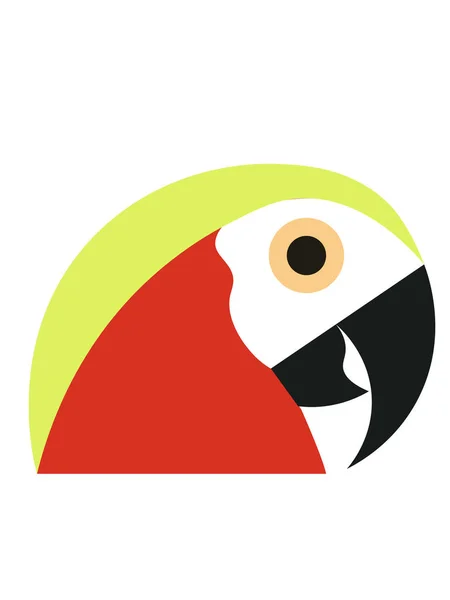 La tête du perroquet sur fond blanc — Image vectorielle