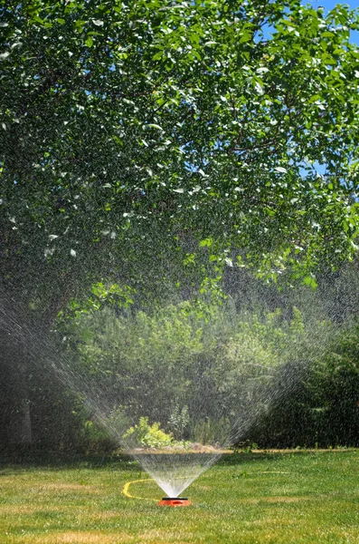 Irrigatore Giardino Una Giornata Estiva Soleggiata Durante Irrigazione Del Prato — Foto Stock