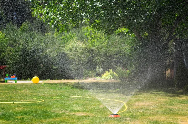 Sulama sistemi gün güneşli yaz yeşil çim sulama. Yeşil çimen