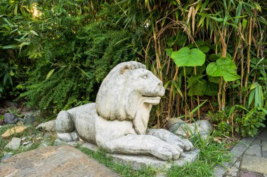 Liman yakınındaki Soçi parkında Aslan.
