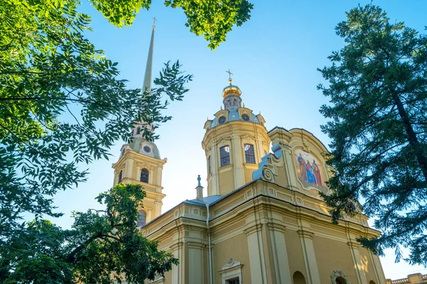 Saints Peter Paul Cathedral Fortress Hare Island Saint Petersburg Russia — Stock Photo, Image