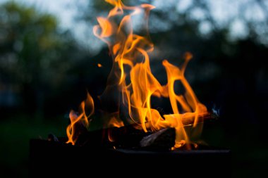 Geceleri parlak yanan odun