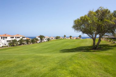 Atlantik Okyanusu yakınlarındaki lüks sahil otel tatil Golf Sahası. Yeşil çim sahası, palmiye ağaçları, ev, mavi gökyüzü ve okyanus