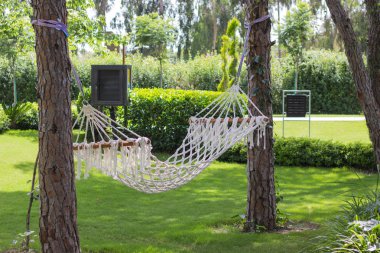 Yaz bahçesi ve ağaçlar arasında asılı hamak