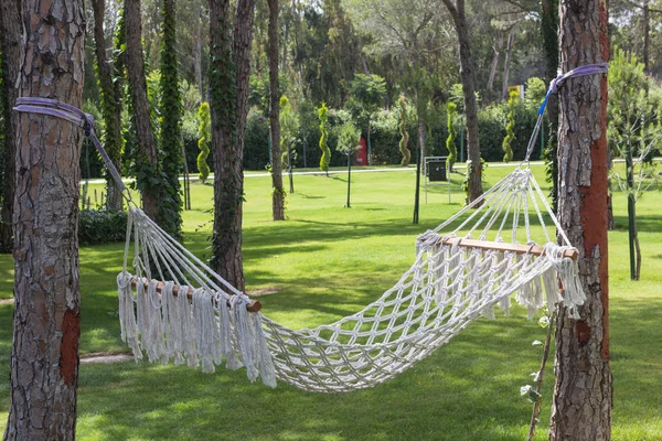 Sommergarten Und Hängematte Hängen Zwischen Bäumen Nahaufnahme — Stockfoto