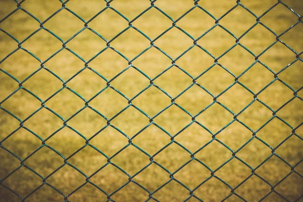 Wire Fence Yellow Grass Background — Stock Photo, Image