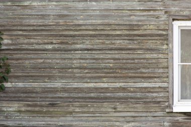 Eski bir ev ile bir parçası olan bir pencere ve bir ağaç, bir duvar panoları cephe