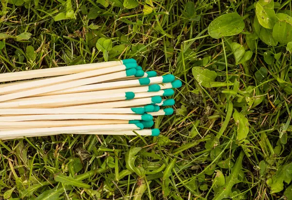 Matchs Avec Têtes Vertes Sur Herbe Gros Plan — Photo