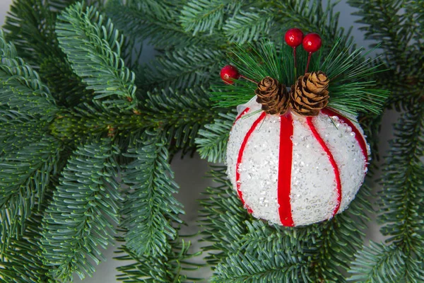 Weiße Kugel Mit Zapfen Für Den Weihnachtsbaum Auf Den Tannenzweigen — Stockfoto