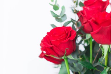 Beyaz zemin üzerine kırmızı gül buketi. kopya alanı - Sevgililer ve 8 Mart anne kadın gün kavramı