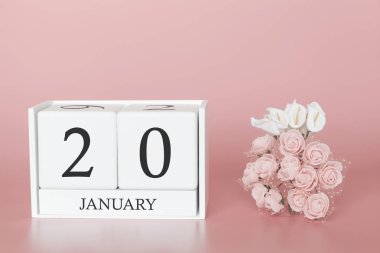 20 Ocak. 20 aylık gün. Modern pembe arka planda takvim küpü, Bussines kavramı ve önemli bir olay.