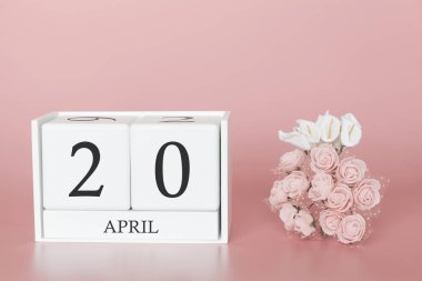 20 Nisan. 20 aylık gün. Modern pembe arka planda takvim küpü, Bussines kavramı ve önemli bir olay.