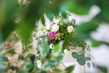 Yaprakların bulanık ön arka plan, bac güzel çiçekler