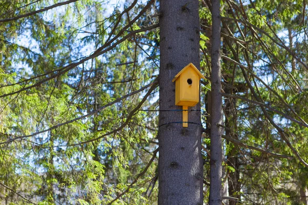 木の上の古い黄色の鳥小屋、鳥の世話 — ストック写真
