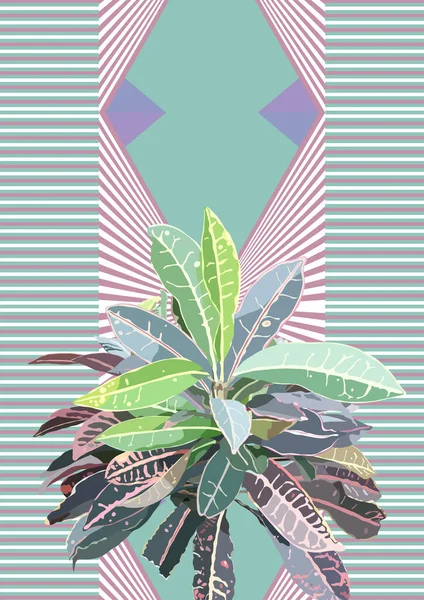 Tropické Pastelové Croton Rostlina Sladké Geometrické Pozadí — Stockový vektor
