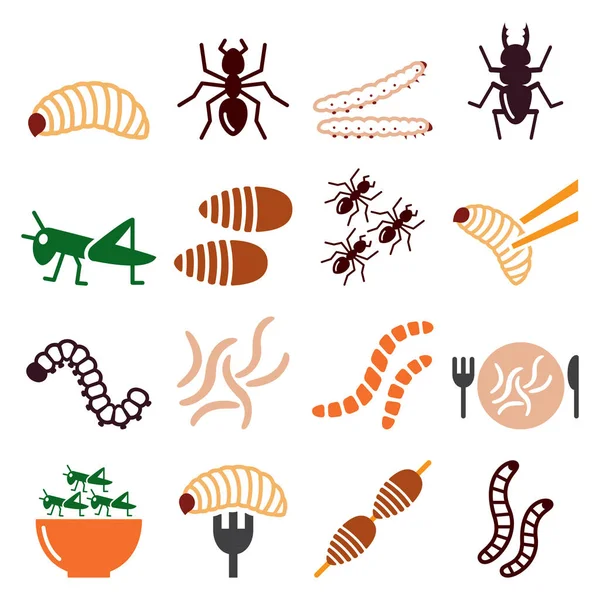 Yenilebilir Solucanlar Böcekler Vektör Simgeleri Ayarlandı Yiyeceklerdeki Proteine Alternatif Kaynak — Stok Vektör