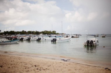 egzotik kıyısında altın kum egzotik palmiye ağaçları ile Dominik Cumhuriyeti