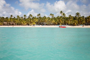 egzotik kıyısında altın kum egzotik palmiye ağaçları ile Dominik Cumhuriyeti