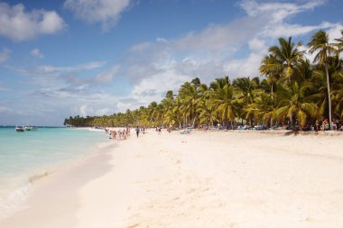 egzotik kıyısında altın kum egzotik palmiye ağaçları ile Dominik Cumhuriyeti