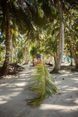 Yakışıklı bir tropikal plaj