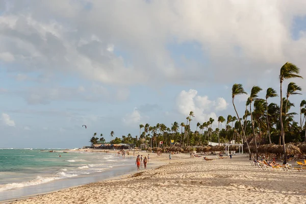 egzotik kıyısında altın kum egzotik palmiye ağaçları ile Dominik Cumhuriyeti