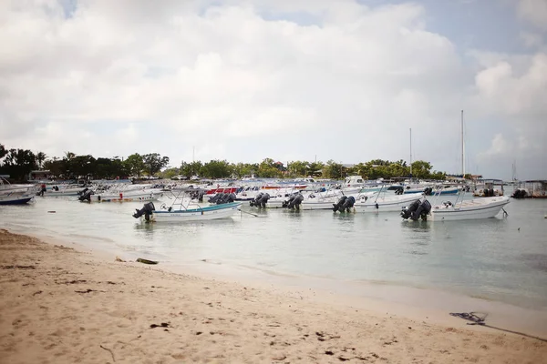 egzotik kıyısında altın kum egzotik palmiye ağaçları ile Dominik Cumhuriyeti