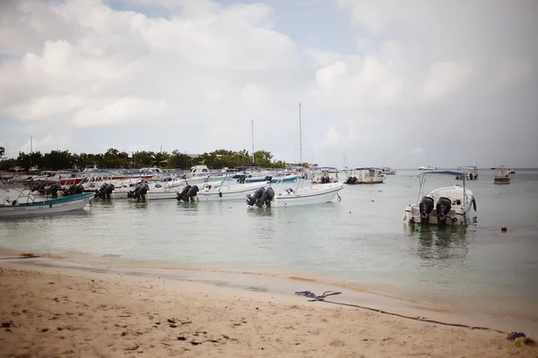 egzotik kıyısında altın kum egzotik palmiye ağaçları ile Dominik Cumhuriyeti