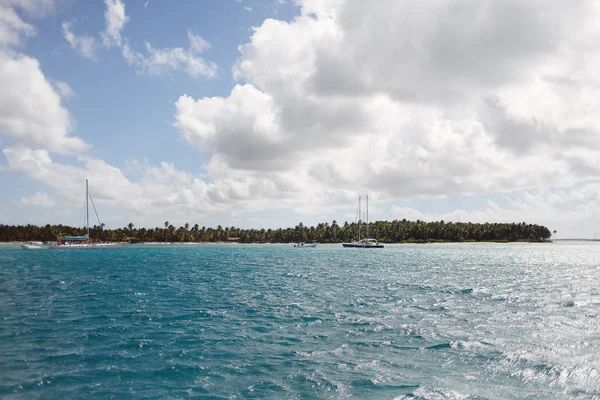 egzotik kıyısında altın kum egzotik palmiye ağaçları ile Dominik Cumhuriyeti