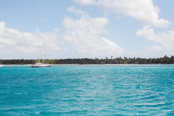 egzotik kıyısında altın kum egzotik palmiye ağaçları ile Dominik Cumhuriyeti