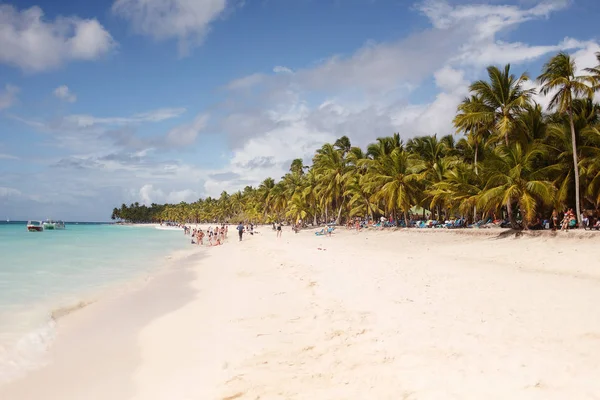 egzotik kıyısında altın kum egzotik palmiye ağaçları ile Dominik Cumhuriyeti