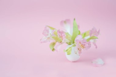 Paskalya, dekor, Paskalya dekor, yumurta, arka plan, çiçekler