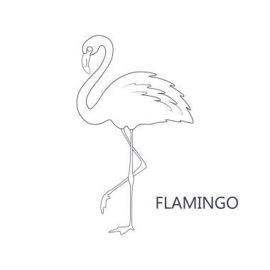 Çocuklar için boyama kitabı sayfası. Çizgi film flamingo. Vektör çizim