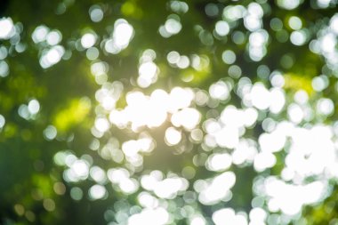 yeşil bokeh arka ışık plan. Metin girişi için yeşil zemin üzerine beyaz bokeh. Soyut bulanık yeşillik ve parlak yaz güneş ışığı ile taze sağlıklı yeşil biyo arka plan