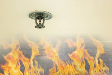 Yangından korunma. Yangın yağmurlama kafa binanın ne zaman duman tespit sensörü eylem içinde beyaz tavanda. Otomatik kafa sprinkler söndürme beyaz tavan üzerinde ateş.