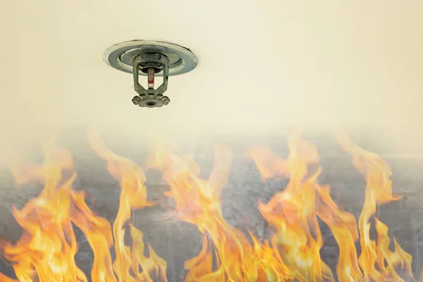 Brandskydd Brand Sprinkler Huvud Vitt Tak Byggnaden Sensor Åtgärder När — Stockfoto