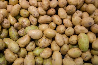 Piyasada taze organik taze patatesler satılıyor. Patatesler markette çiğ sebzeler. Taze organik patatesler piyasadaki pek çok büyük arka plan patatesi arasında göze çarpar. Patates kökü yığını..