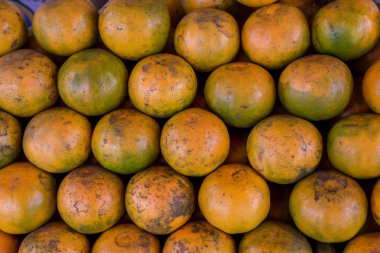 Shogun portakalları. Cilt ince yumuşak ekşi tatlar iyidir. Yerel bir çiftçi pazarında taze portakal. Arka plan olarak Mandalina. Olgun mandalina büyük demet.