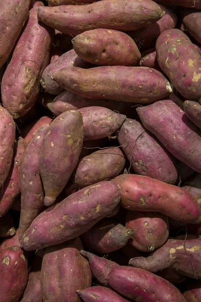 Fresh purple yams pile. Sweet potato for sale in local market. cofred yam background, pile of red or purple yam on background . fresh yam harvest agriculture in the market, sweet potato