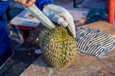 Tayland meyvelerden Durian kralı. Lezzetli ve pahalı olduğundan durian popüler Tay ihracat Asya meyvedir. İşlem bir açılış Durian elleriyle kesti. El peeling ve kesim durian meyve.