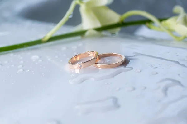 Diamond Ring Vigselring Vigselring Bruden Pris Bröllop Symboler Bröllopsceremonin Bild — Stockfoto