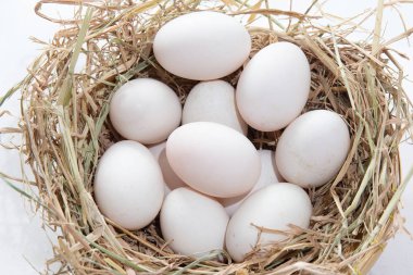 Paskalya yumurtaları arka plan. tatil, paskalya arka plan. Saman zeminde taze yumurta. Yuvadaki yumurtalar. mutfak ve tatlı madde.