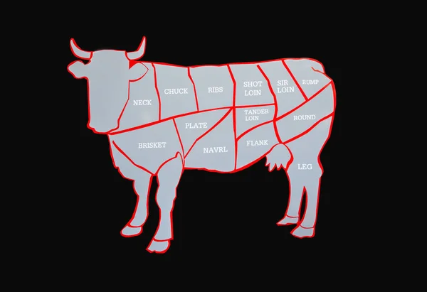 Cow and cut of beef or beef chart. Diagram of different parts of a cow, showing cuts of beef. Cutting meat diagram guide for cow.