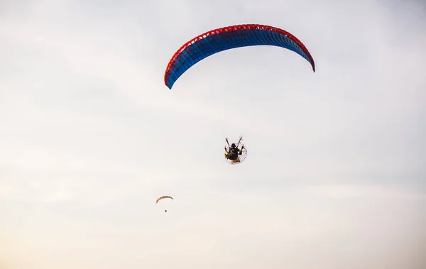 Silhouette Paramotors Volant Vers Ciel Coucher Soleil Aventure Homme Actif — Photo