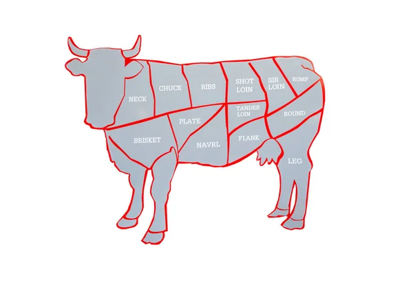 Cow and cut of beef or beef chart. Diagram of different parts of a cow, showing cuts of beef. Cutting meat diagram guide for cow.