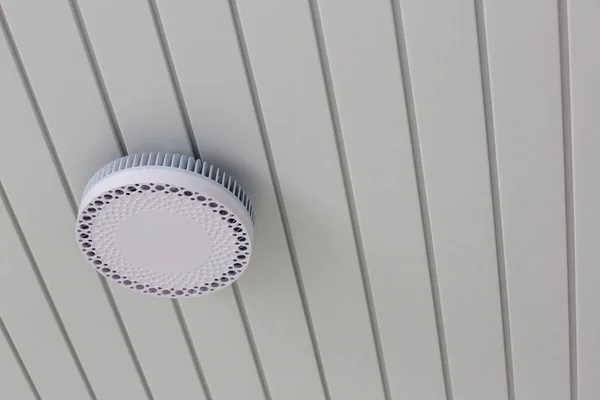 Ceiling access point wifi. wireless router for network,hang on the ceiling. world wide network technology. image for objects and copy space.ceiling. World wide network technology.